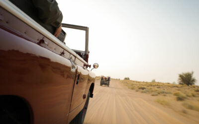 In Dubai, explore the desert in a vintage 1950s Land Rover.