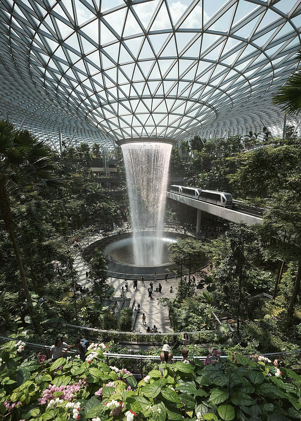 jardins et foret tropicale dans laéroport de Singapour