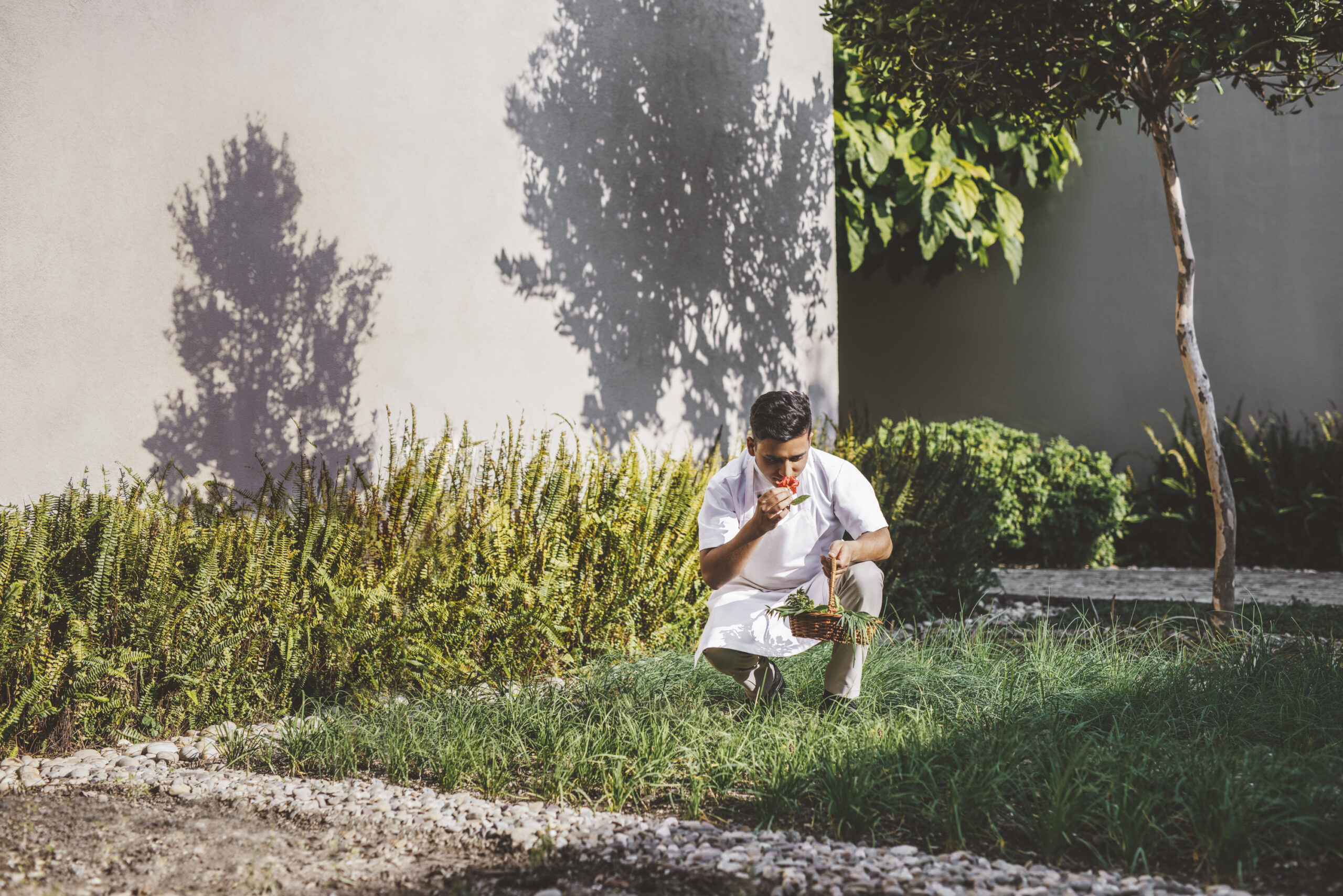 ardin d’herbes de Six Senses Vana en Inde