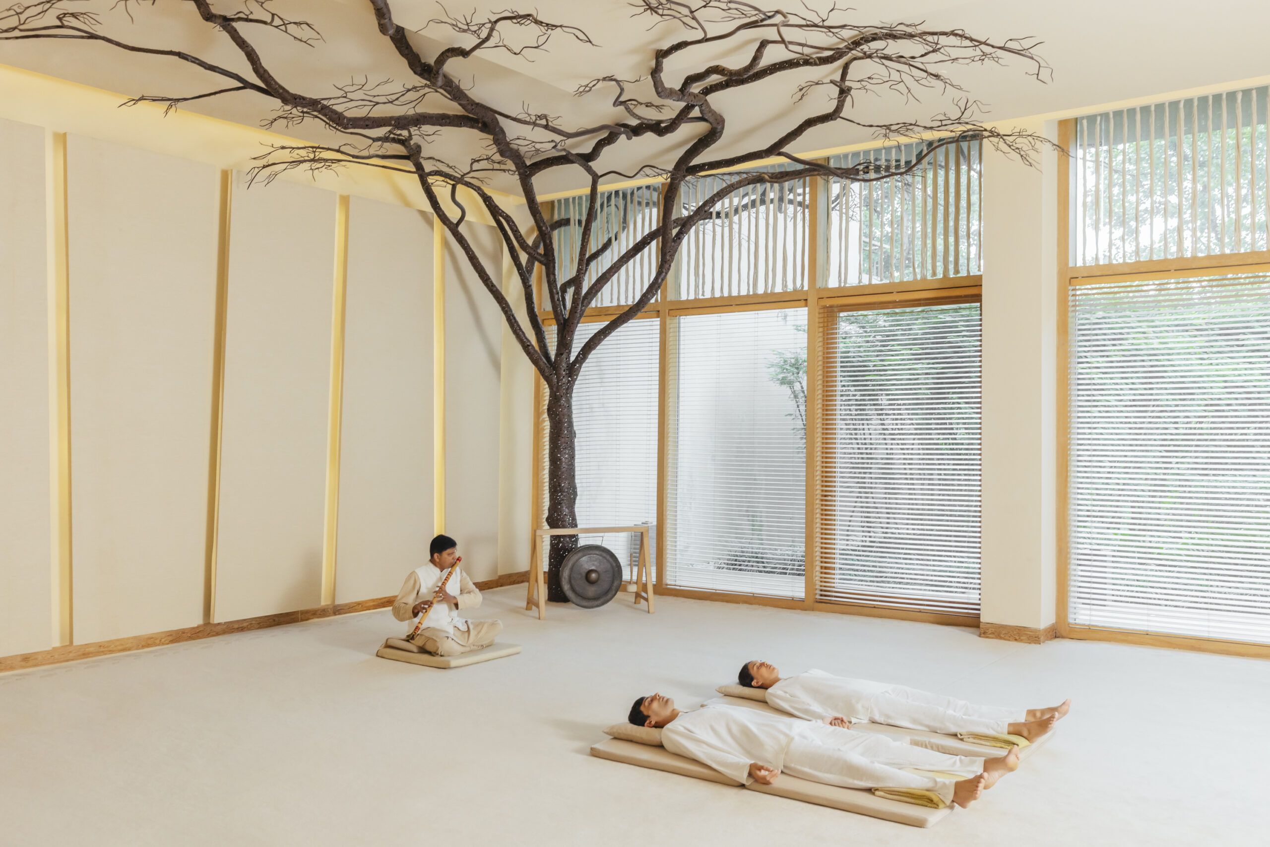Séance de Raag Therapy dans la salle Bodhi Tree à Six Senses Vana